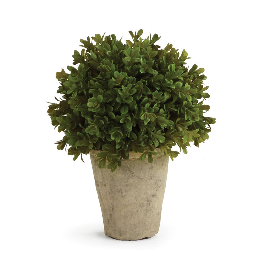 Barclay Butera Faux Boxwood Shrub Potted 9"