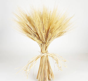 Golden Wheat Bundle