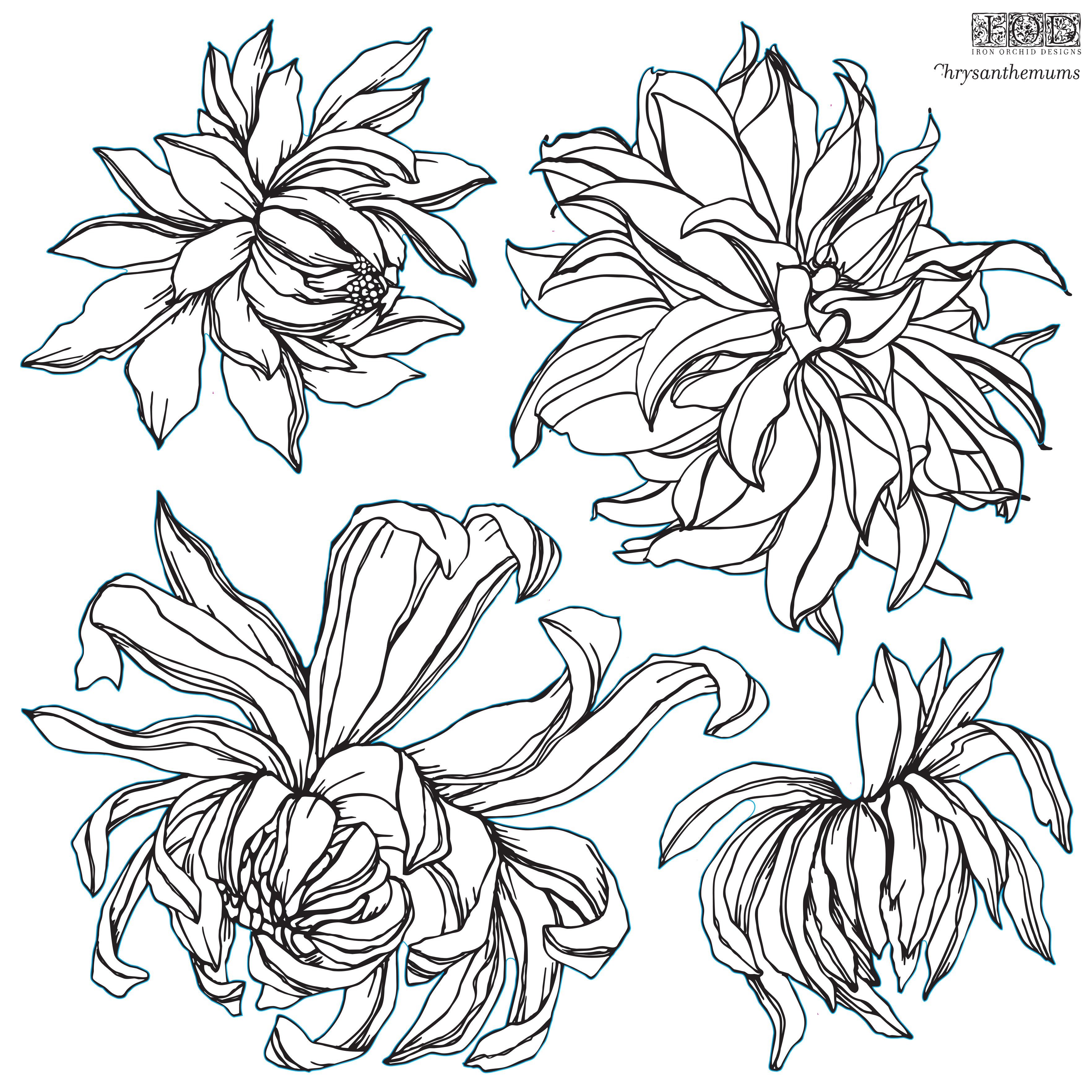 Chrysanthemums, 12x12 Decor Stamp