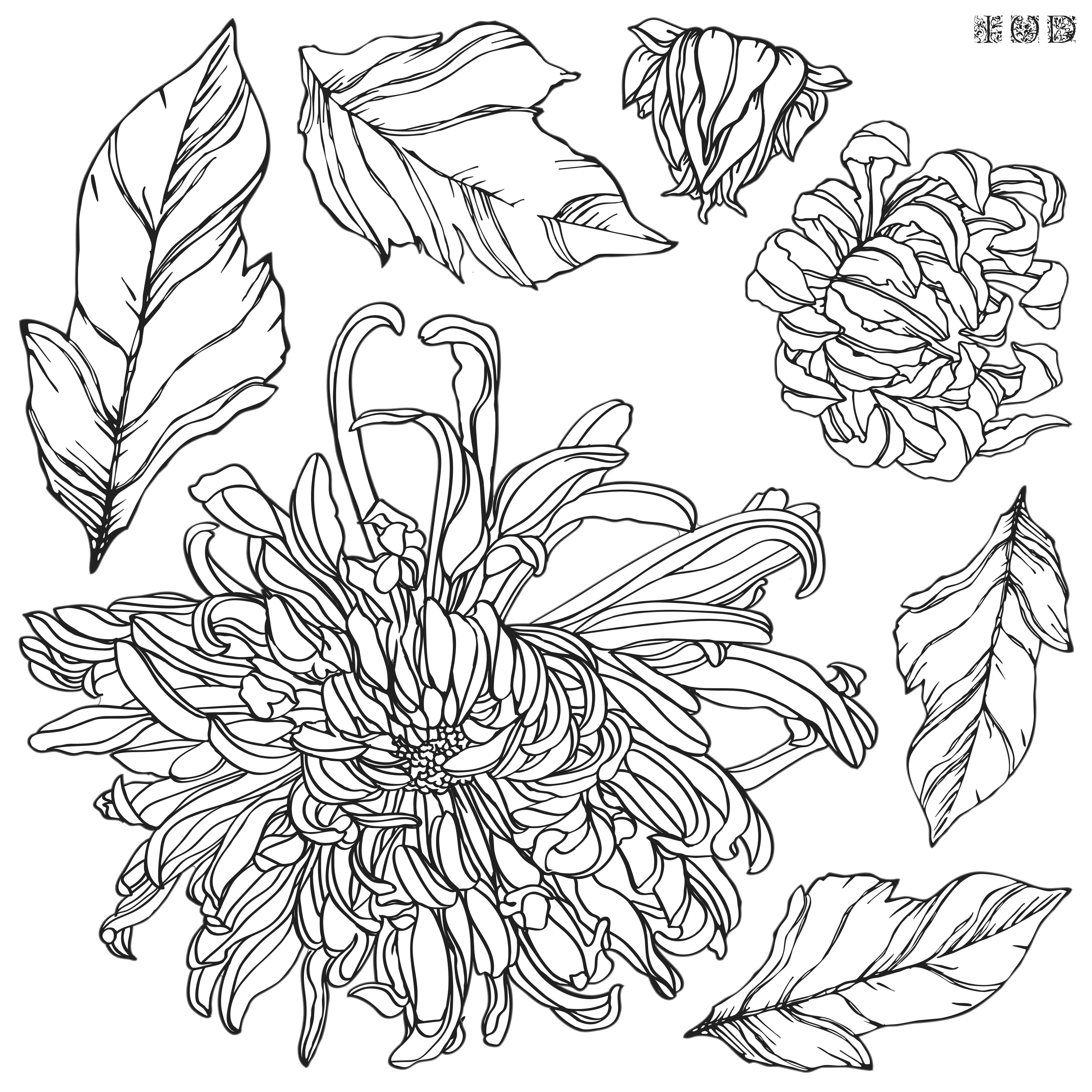 Chrysanthemums, 12x12 Decor Stamp