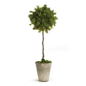 Barclay Butera Faux Boxwood Topiary Potted 19"