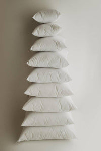 Down Alternative Hypoallergenic Pillow Insert Cotton Cover | 18x18 | 20x20 | 22x22 | Throw Pillow