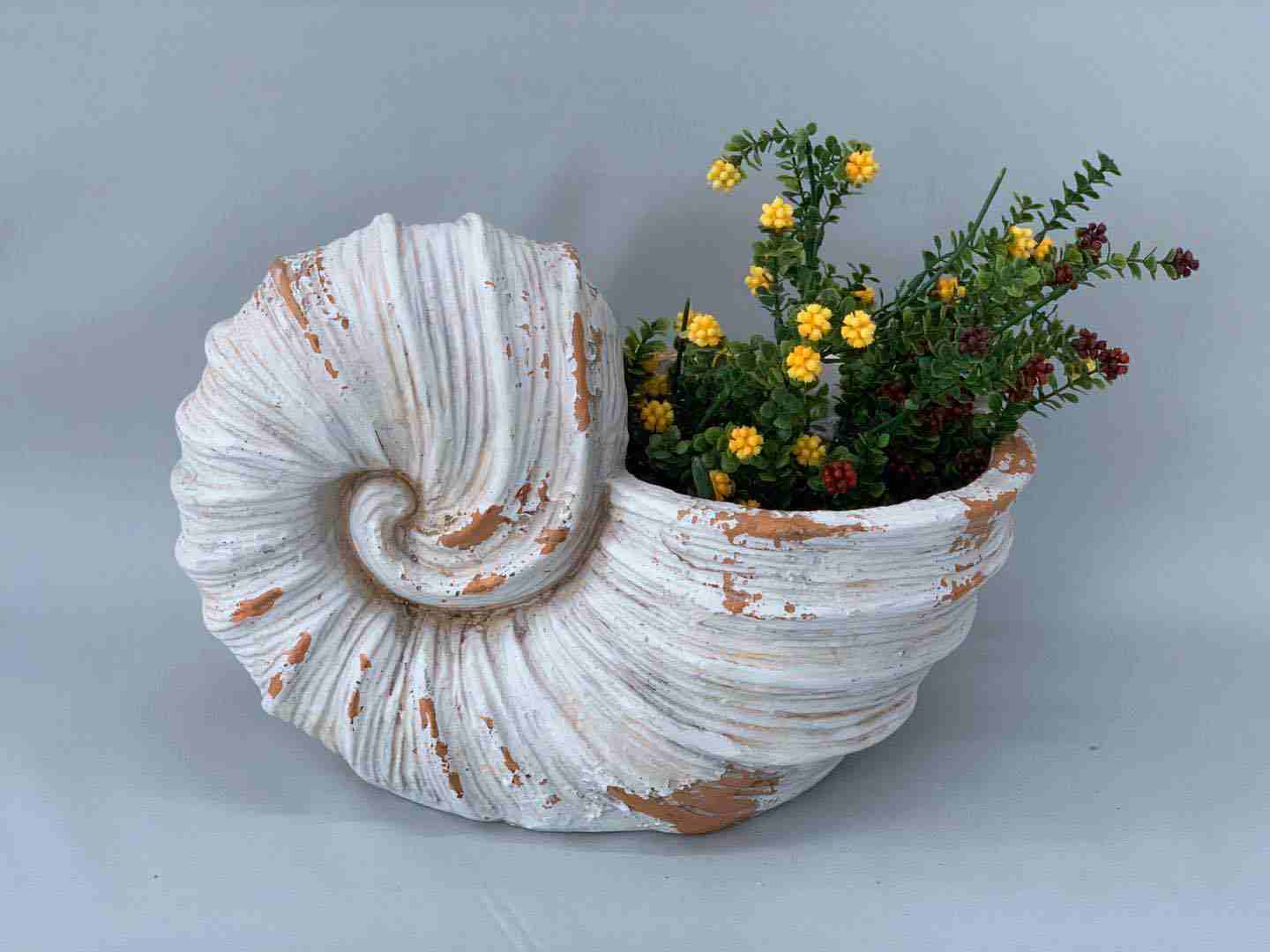 Cream Polyresin Conch  Planter