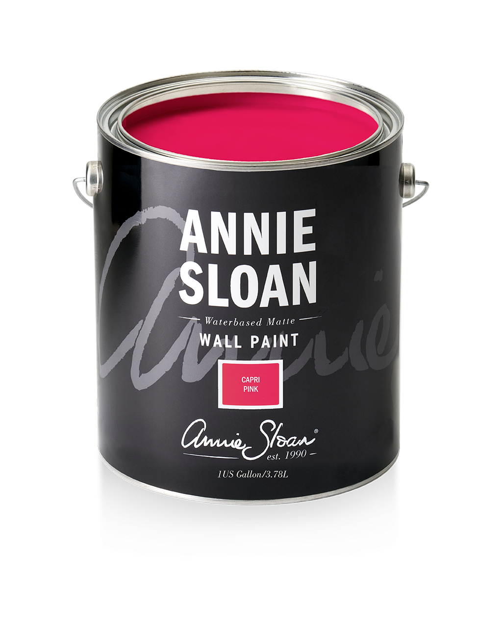 Capri Pink , Annie Sloan Wall Paint®️