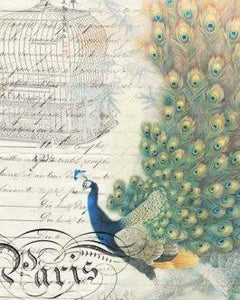 Peacock Ephemera Right