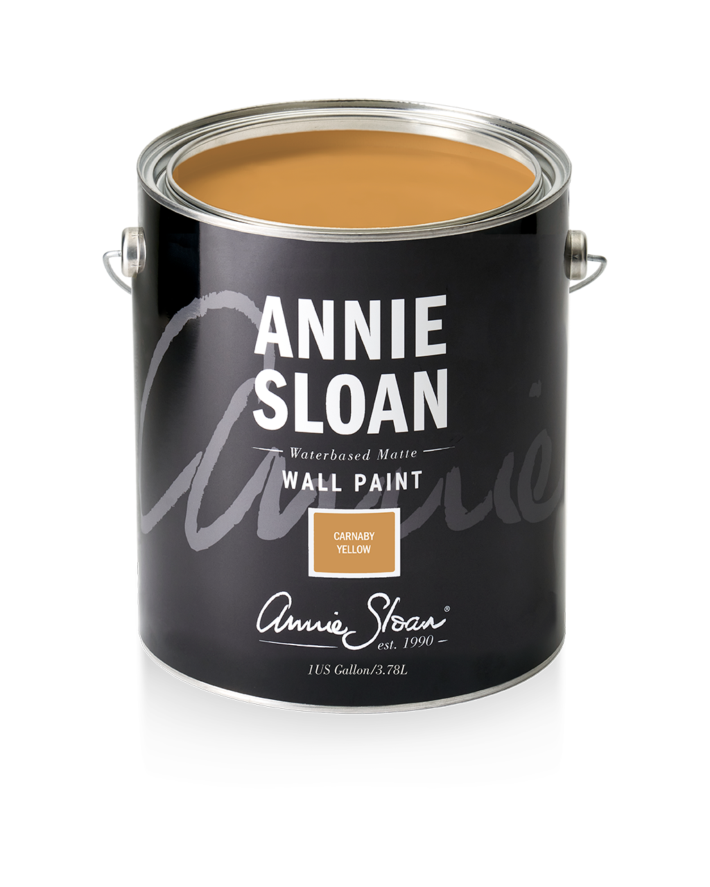 Carnaby Yellow , Annie Sloan Wall Paint®️