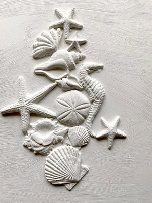 Iron Orchid Designs Sea Shell Mould